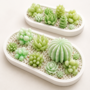Desert Bloom Mini-Cactus Collection