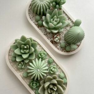 Desert Bloom