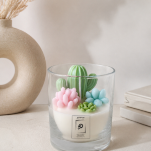 Succulent Dreams Cactus -Treat Me Well Soy 120γρ