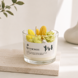 Mini Dreams Cactus -Treat Me Well Soy
